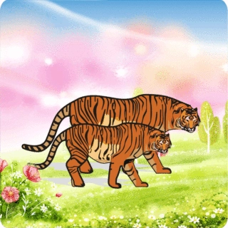 定 制3d光栅卡片,裸眼光栅立体名片，印刷厂直销幻彩厂家卖3D名片