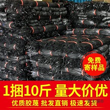 建筑绑带扎带胶蔑胶绳扎蔑搭棚竹架扎绳扎篾扎排山的带搭竹麦太保