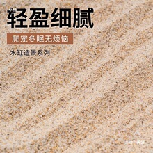 乌龟产蛋沙养殖冬眠孵化河沙鱼缸装饰造景底砂草龟下蛋砂子