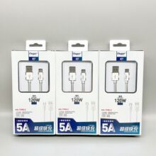 �m���A��OV�O��Type-Cȫ����120W������䔵�����W��5A�֙C��늾�