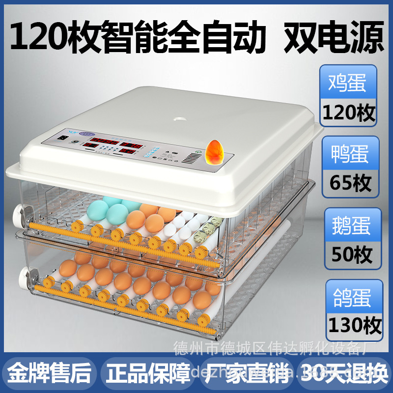 家庭用孵化器ひよこ孵化器小型家庭用孵化機全自動知能鶏鴨ガチョウ鳩孵化機|undefined