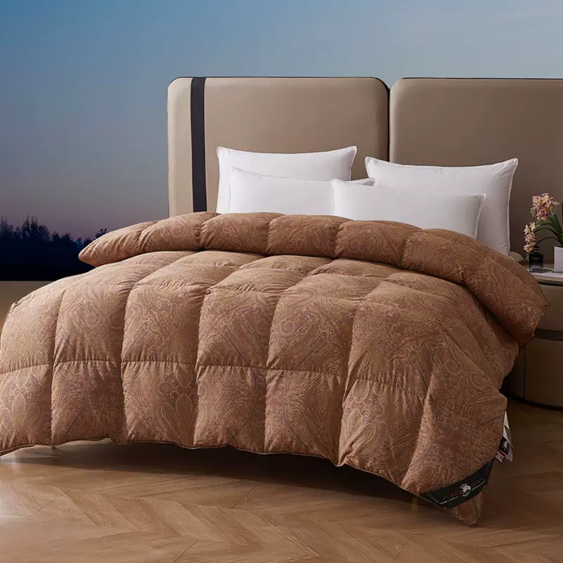 家用新款秋冬加厚羽绒被被壳自充绒被套轻奢高端羽绒被厂家批发