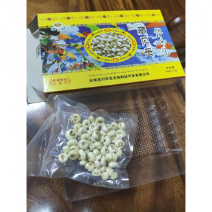 �S�����l�����خaؐĸ���ؐĸ�m�ψFչ�N�����Ε��N�u�cُ