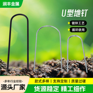 Drip Irrigation Pipe Arc-Shaped U-Shaped Ground Nails Grass-Proof Cloth Ground Cloth Nails Gardening Galvanized Pruning Succulent Fixator