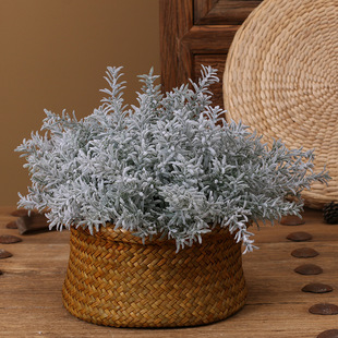 塑膠水草圖片 海量高清塑膠水草圖片大全 阿里巴巴