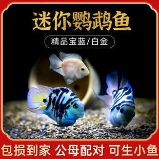 �����W�^�~�׽����{С���^�p�~��ˮ�r��ݸ׵�ˮ�Ꭷ�~���B�ͻ�