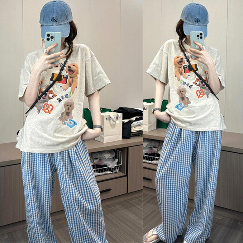 회색 강아지 세 마리 파란색 체크 무늬 바지 짧고 길다