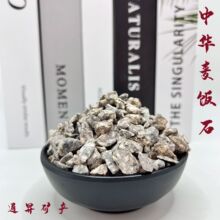 �S�����l���A���ʯ�w���S�����ʯ�w��������ֲ��I�B����