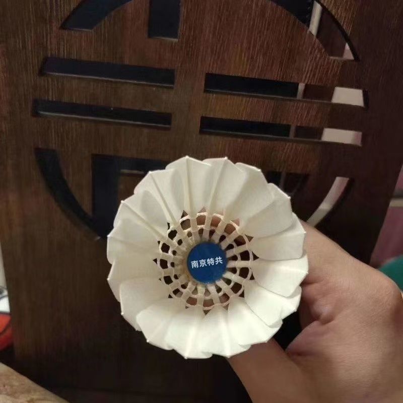 7e005c7e-0e4d-46f2-b5d8-e3d8a437e32a.jpe