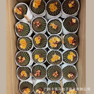 ������ֱ�����χ����_������������ֲ���ܾGֲ�k���Ҷ����辰ֲ��