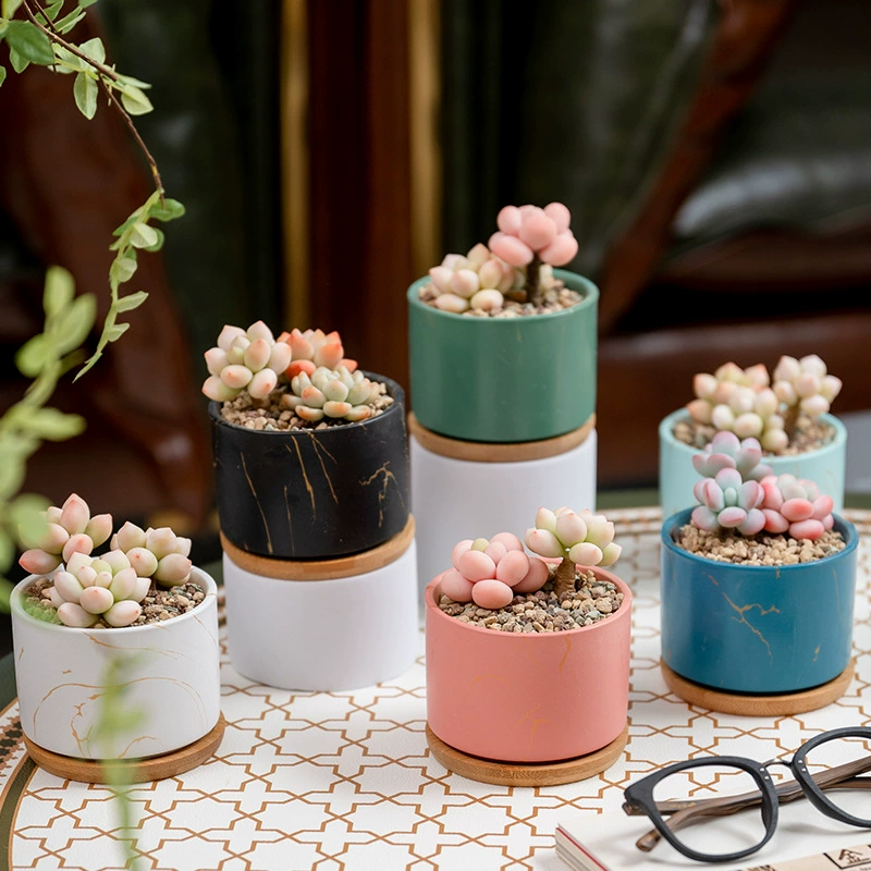 Na Pin Export Трансграничный Специальный для простой цветной переноса воды Керамический мясистый цветочный горшок Украшения для дома
