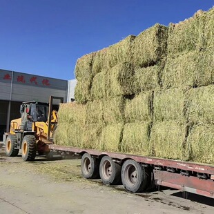 ��ޣ�ݲ����ϻ���ޣ����ϸɲ�ţ���R����ݚ�ţ����@�Bֳ������