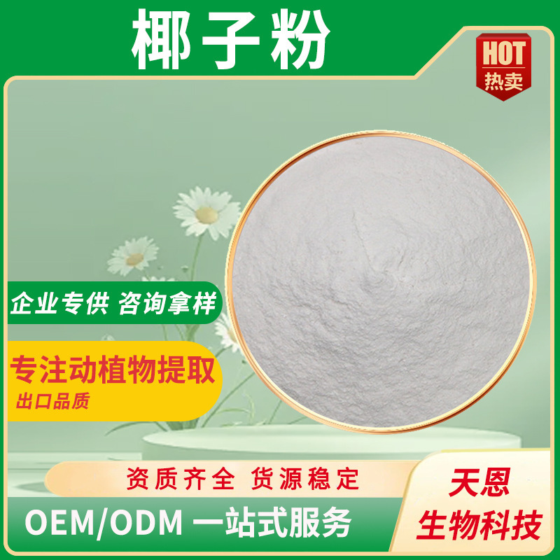 椰子粉速溶椰浆粉海南椰汁冻干粉食品级固体饮料果蔬代餐粉原料粉