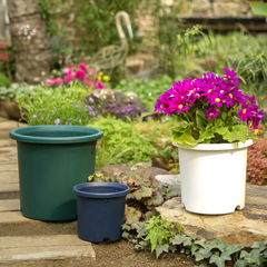 Alice Deepot Rose and Clematis Resin Planter, Alice Plastic Gallon Pot, Hydrangea Root Control Pot