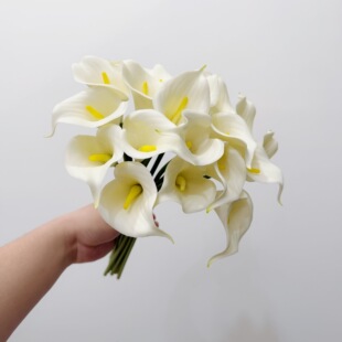 �R��ɏ�����ָ��R��ɏ�ٻ������֦�R��ɏ����������c�b����l