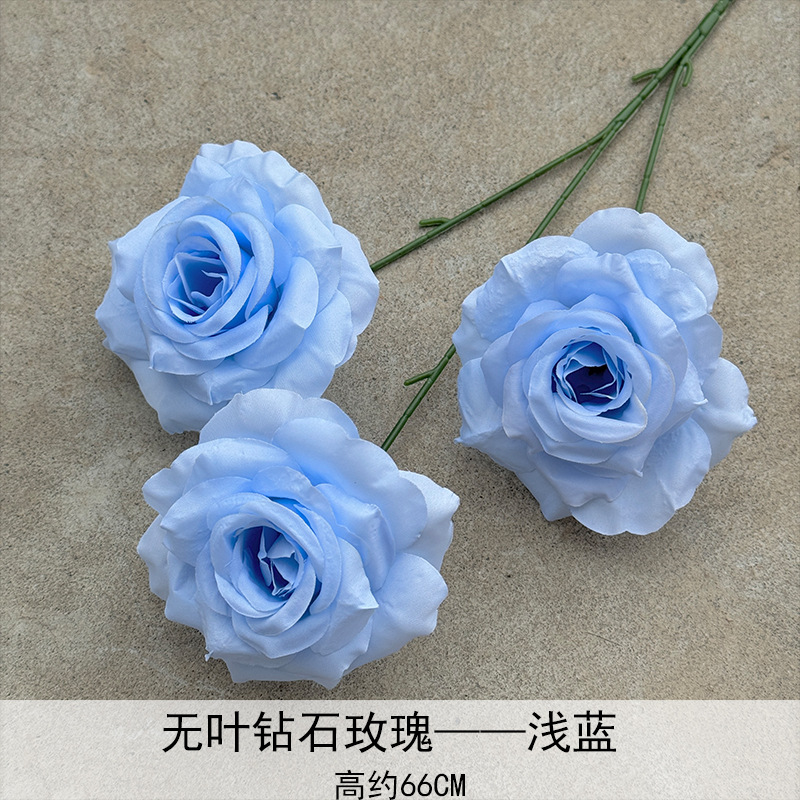 Rosa de diamante sin hoja azul claro