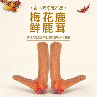 ¹��Ƭ����r�� Դ�^�S�����l����¹�l�r¹�ז|���خa��֧¹��