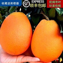 ��S���]�ؑc�Ě�Ȯ������r�ЋDˮ��10��Fժ�~�ɳ���20�ǽ���