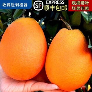 ��S���]�ؑc�Ě�Ȯ������r�ЋDˮ��10��Fժ�~�ɳ���20�ǽ���