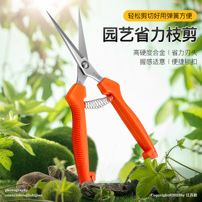 不锈钢摘果剪柑橘剪圆头剪果子剪柑桔剪平头直头水果采摘剪刀果剪