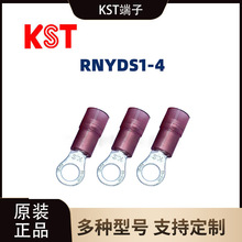 �����d/RNYDS1-4�A�����~�����^���~���䉺�����~���Ӿ���