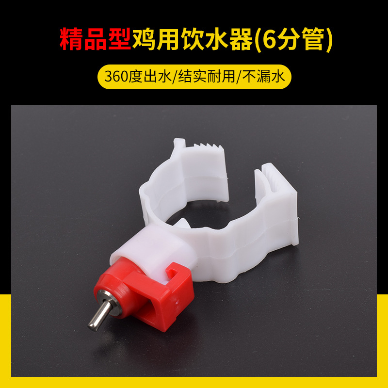 Fuente de consumición automática de la taza de la manguera de alimentación automática de la taza para el pollo