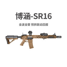 ����SR16늄��B�l�_�h�ѓ���ߘ�AR15�����аl��������CS���u�b��