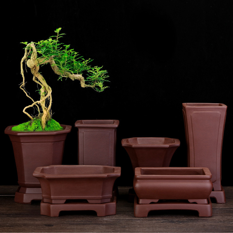 Yixing purple sand flower pot square bonsai pot with base Laozhuang green plant pine Cypress bamboo black pine potted gardening wholesale Yixing purple sand flower pot square bonsai pot with base Laozhuang green plant pine Cypress bamboo black pine potted gardening wholesale