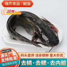 �t�~�r���~���r���Kֱ��