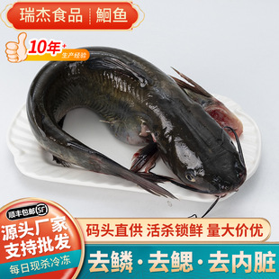 �t�~�r���~���r���Kֱ��