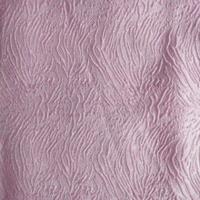 ½zcỨ wDɫỨ ٽzrb SF