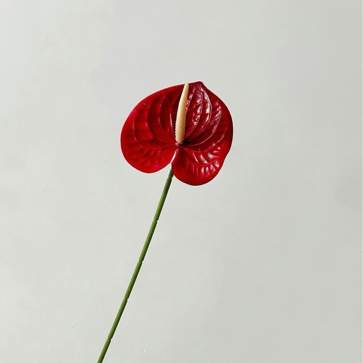 Rojo grande.