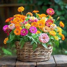 ܷNļNlղݝM̫ꖻ˹տrձ