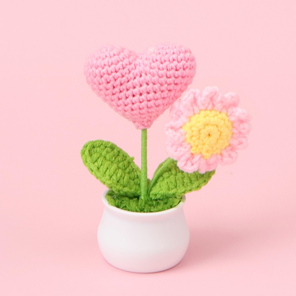 Rosa - maceta de margaritas de amor