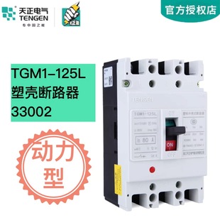 Tengen Tgm1-125L/33002 Power Type Molded Case Circuit Breaker Motor Protection Switch 100A