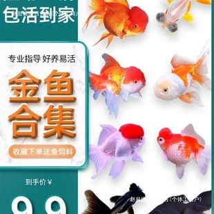 ������~���~�^�p�~С�͵�ˮ���B��ˮ�~�~������С���~�m���\��