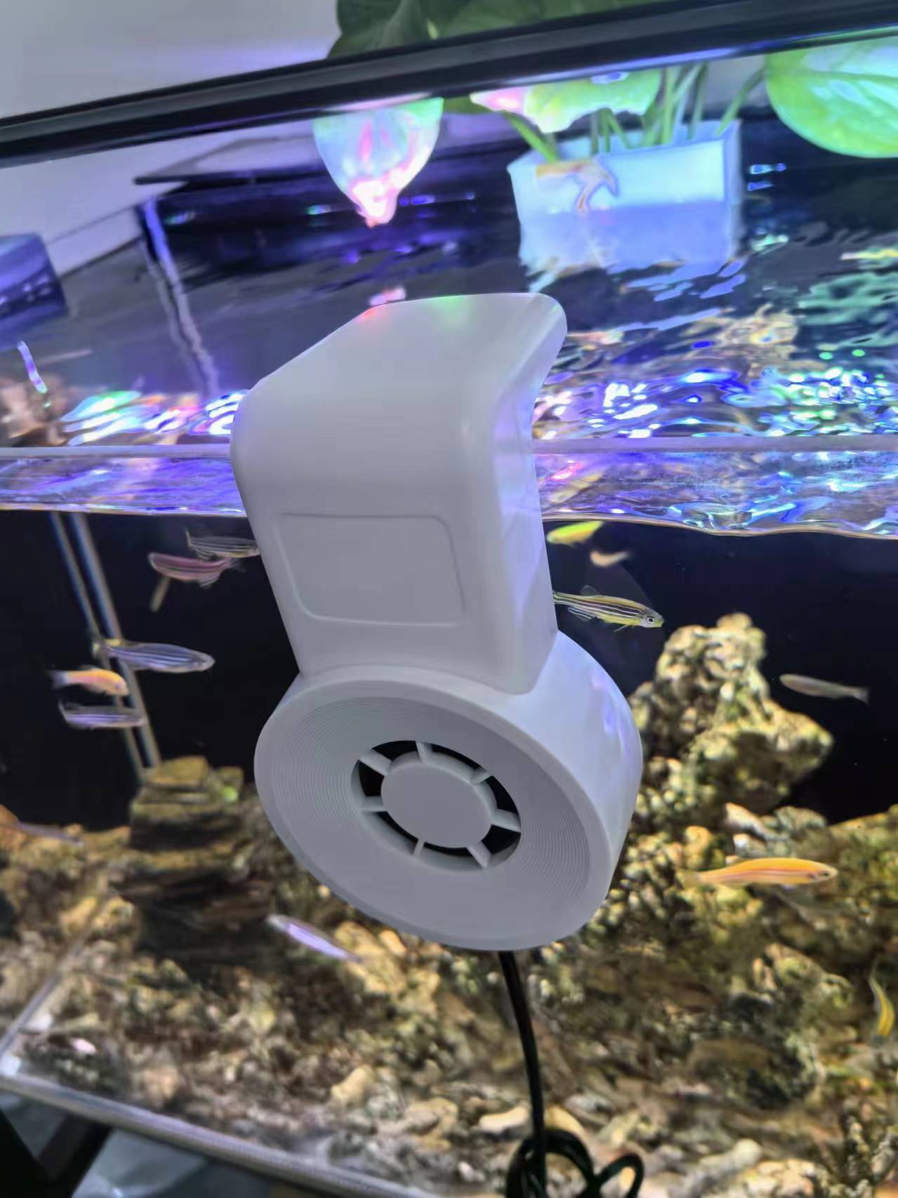 Disipación de calor y enfriamiento de la pecera Refrigeración con ventilador de acuario usb silencioso Enfriador pequeño externo Refrigeración y artefacto de enfriamiento