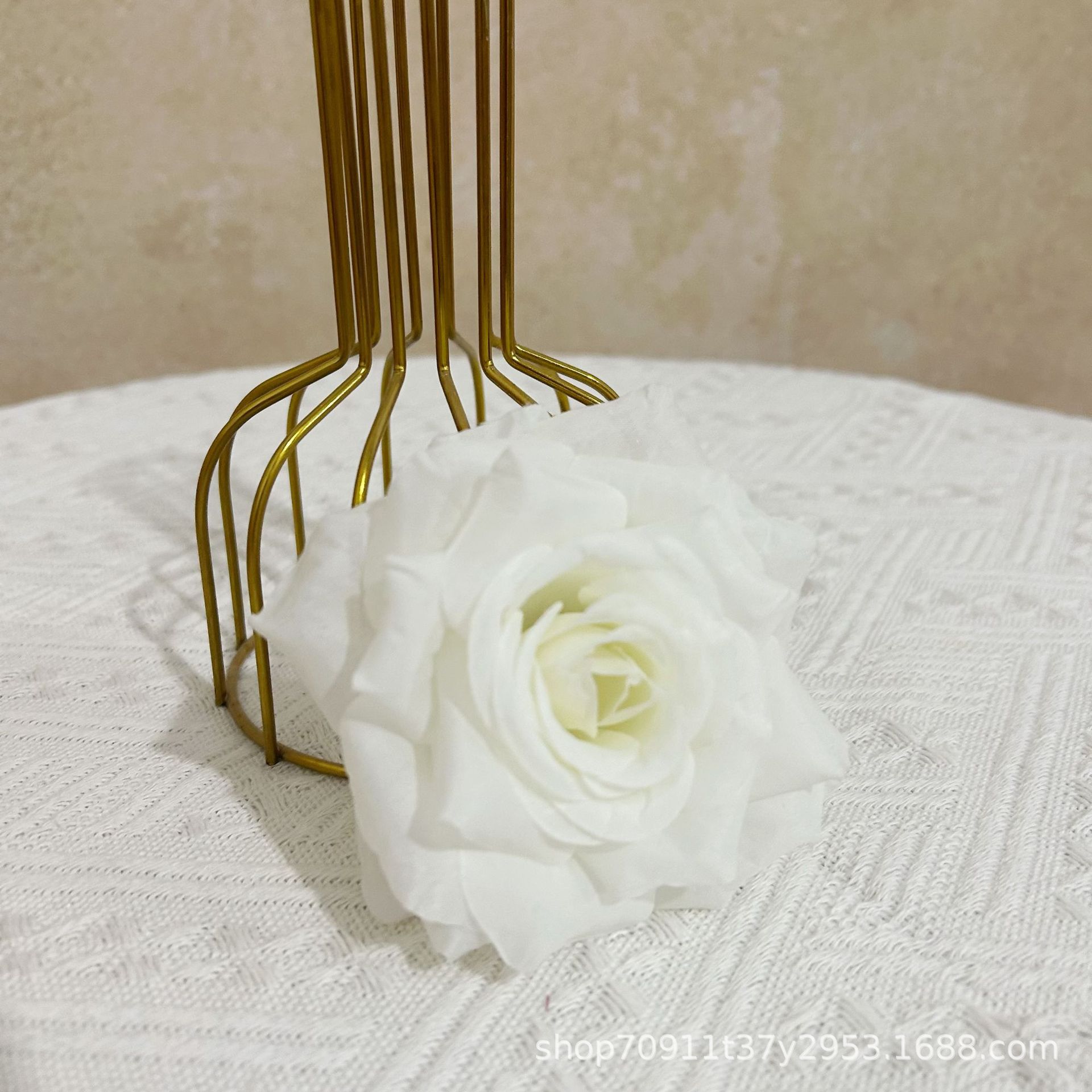 다이아몬드 로즈 헤드 화이트