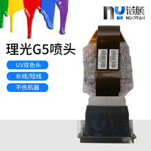 ȫ��ԭ�b����G5UV���^ ����GEN5�pɫ���^ uv��ӡ�CG5���^�L��50cm