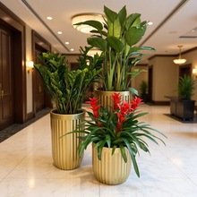 W͹ŽMϻ̈Ƶ҃ȿ͏dز˾lˮS