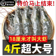 �����Ľ��b���u���r�����r�ك����r���rˮ�a���r���r���r�r�r