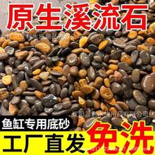 天然溪流石鱼缸专用铺底砂原生溪流底砂水族箱装饰造景小石子石头