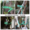 Cross -border vine plant fixing climbing vine strap tie line gardening tool plastic fish bone tie band -bodied buckle clip