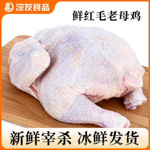 �r�të��ĸ�u�������u�ߵ��u���r�F��һ����ĸ�u�Ƙ�ʳ�����l