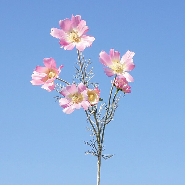 Realistic flower arrangements