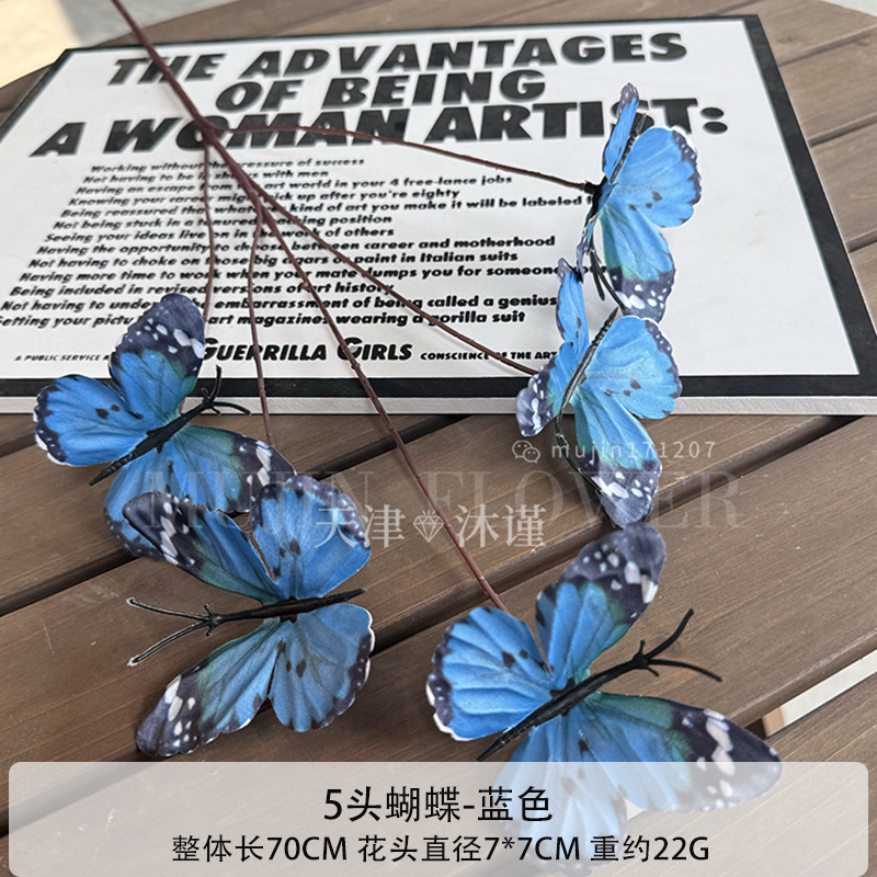 5마리 나비