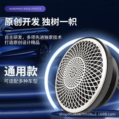 modification fever voice, Car horn/tweeter
