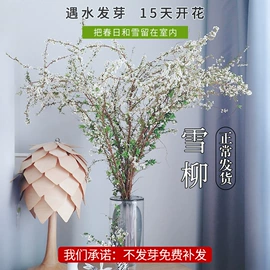 盆栽;其他园林资材;栽培基质