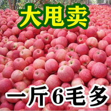 】陝西脆甜紅富士蘋果當季應季新鮮水果3-10斤整箱冰糖心丑蘋果