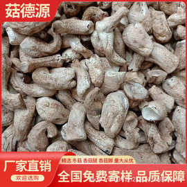 源头工厂双剪香菇脚香菇腿冬菇柄食品厂包子馅料酱厂专用商用批发